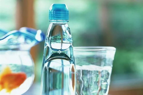 先泼一盆清醒水