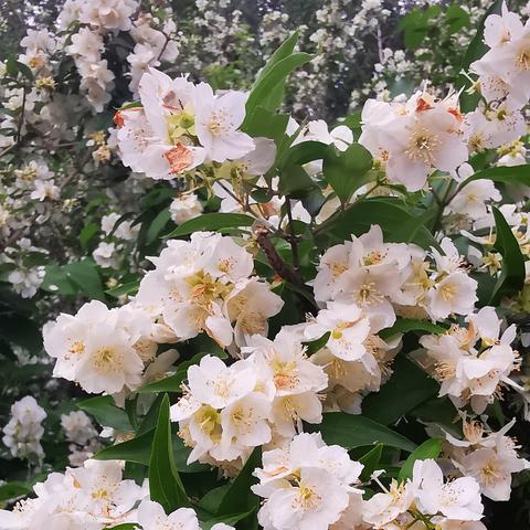 你是不是也这样？