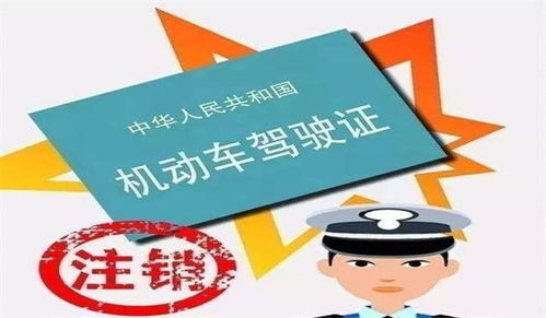 一、实习期不是试用期，是法律划的安全缓冲带