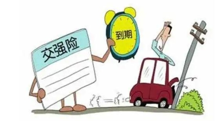 强制险到底强在哪？不买真会被罚，买了又怕白花冤枉钱？