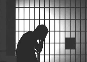 —一位刑辩律师掏心窝子的普法话