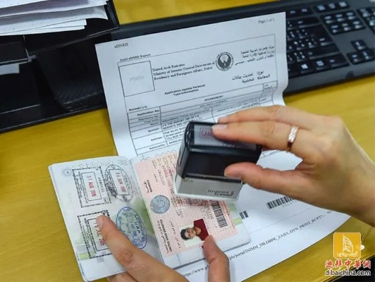 TO签不是旅游签？一纸短期出境证明竟成跨境风险雷区！