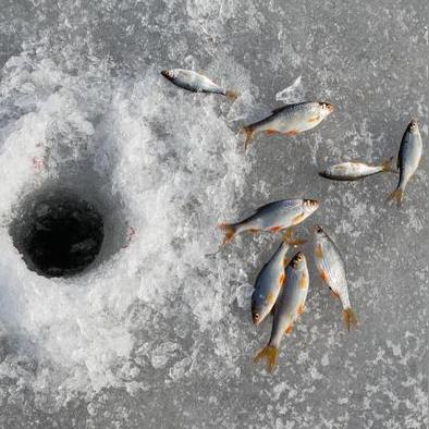 你是不是也经历过—