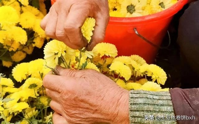 🌿一、先别急着买菊花，搞清清明到底哪天才不踩坑