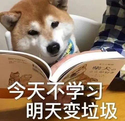 你好啊，最近是不是常听人说双减？