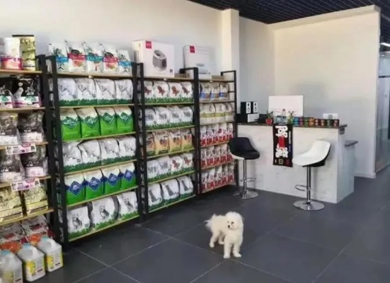 开宠物店要办几个证？刚租好铺子就被喊停，到底谁在卡脖子？