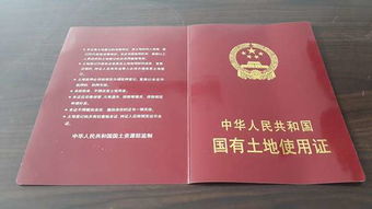 领证要带啥？材料少一份，民政局门口干等两小时！