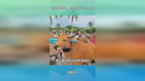 你是不是也见过这样的场景？