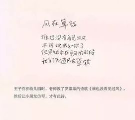 董监高到底是啥？被叫去签字就签？一不留神可能赔光家底！
