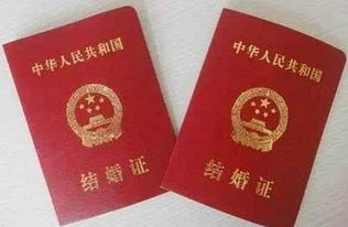 军婚到底特殊在哪？结婚证刚领完，婆婆突然要查我征信？