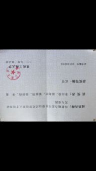 —一位执业15年税务律师的掏心话