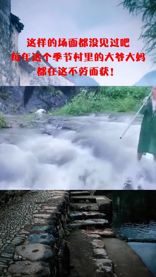 你有没有见过这样的场景？