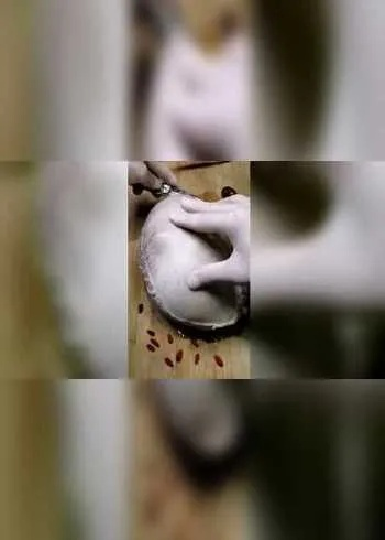 别急，咱们一句一句，掰开揉碎讲清楚