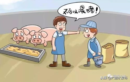 两会不是开会凑热闹?普通人到底该关心啥、能干点啥? 两会不是开会凑热闹?普通人到底该关心啥、能干点啥?