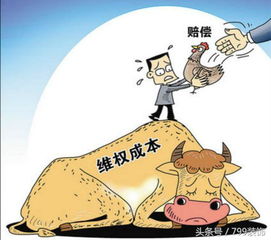 —一位执业12年的消费维权律师,掏心窝子说点真话 —一位执业12年的消费维权律师,掏心窝子说点真话