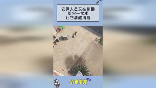 先泼一盆清醒水 先泼一盆清醒水