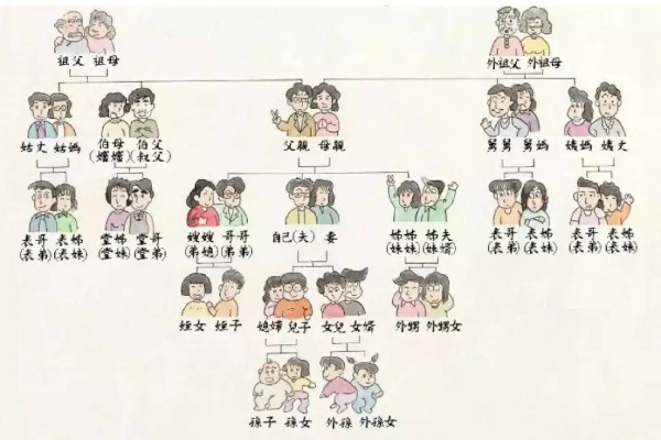 婶婶到底算不算近亲属?结婚、继承、监护时她说话管不管用? 婶婶到底算不算近亲属?结婚、继承、监护时她说话管不管用?