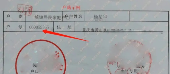 那到底，户号是什么？