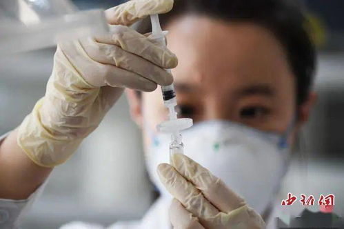 —资深律师手把手拆解嘴上无刀,却杀人不见血的法律真相 —资深律师手把手拆解嘴上无刀,却杀人不见血的法律真相