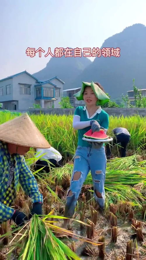 你是不是也见过这样的场景? 你是不是也见过这样的场景?