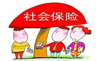 一、它不是保险,是法定义务—先破个误区 一、它不是保险,是法定义务—先破个误区