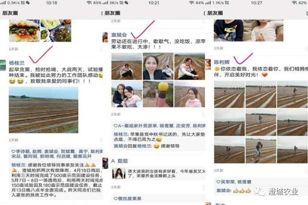 你有没有刷到过这样的朋友圈? 你有没有刷到过这样的朋友圈?
