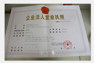 营业执照号是什么？查不到、被拉黑、冒用怎么办？