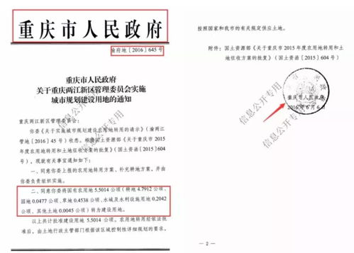 —资深律师手把手拆解注销的法律真相