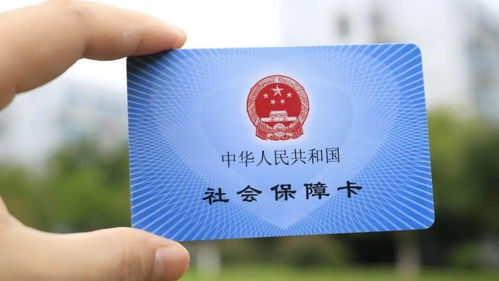 社保到底包哪些？交了十年医保却没报销？养老账户睡着了咋办？
